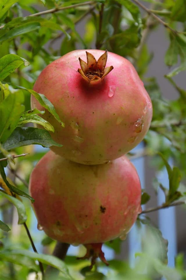 Exposição no MAC Feira de Santana (2018)