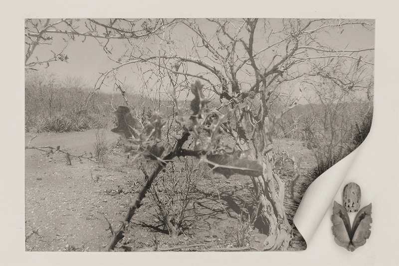 Fotolivro - Canudo e Favelas (2018)