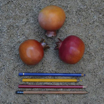 Exposi��o no MAC Feira de Santana (2018)